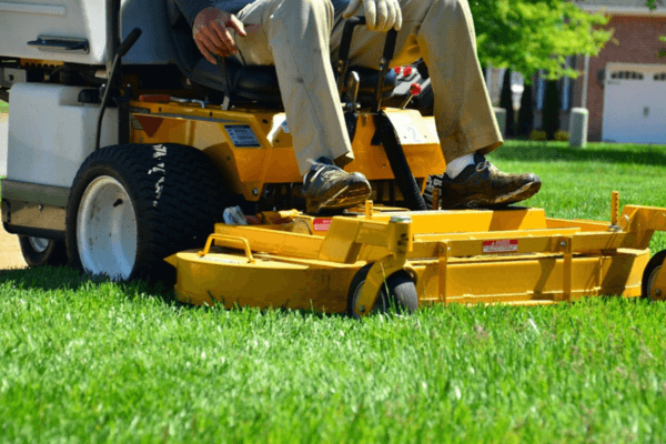 Landscaping